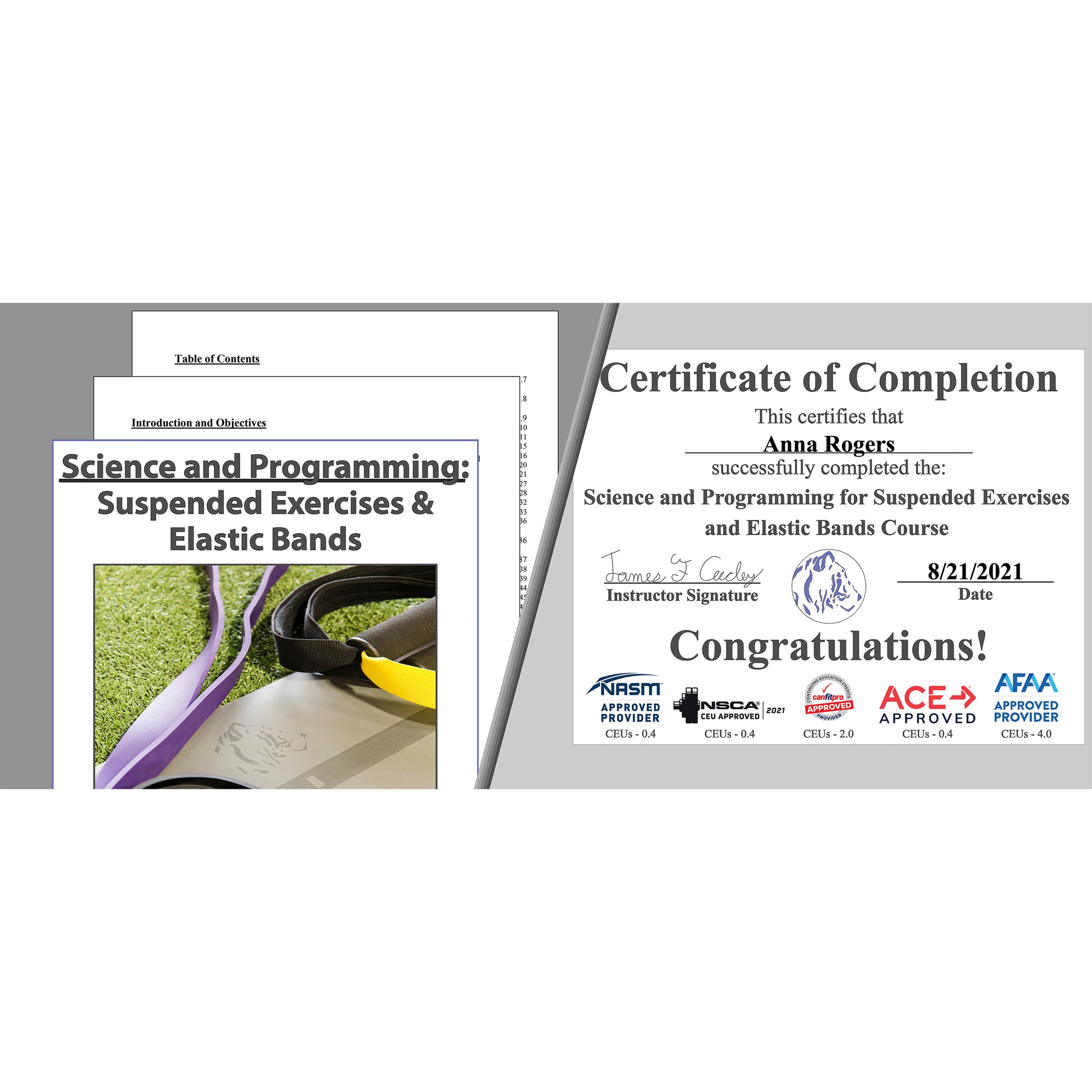 Online. CEU, CEC. Approved by NSCA, NASM, AFAA, ACE Fitness, and CanFitPro. CSCS, personal trainer, suspension exercises elastic bands Course, class, not trx training